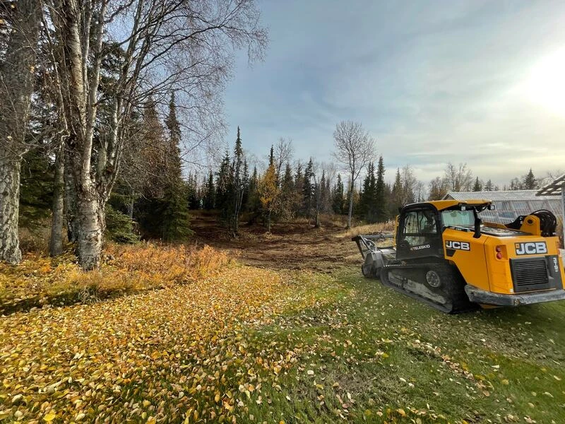 Land Clearing & Mulching - Image 2