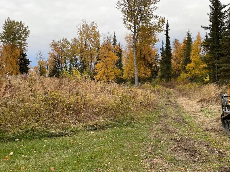 Land Clearing & Mulching - Image 3