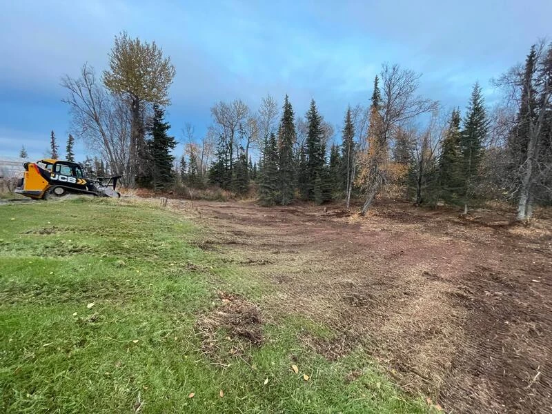 Land Clearing & Mulching - Image 5