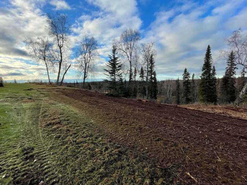 Land Clearing & Mulching - Image 6